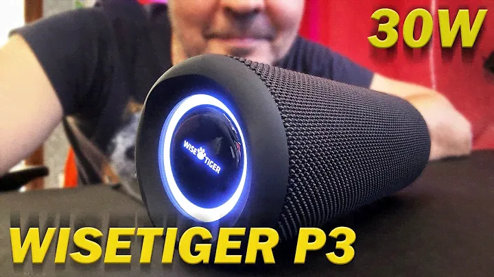 Отличная блютуз колонка на 30W - WISETIGER P3 - не промокает и очень долго играет!