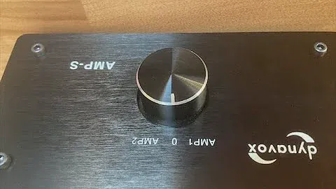 Два усилителя в одной колонке? Dynavox Amp-S